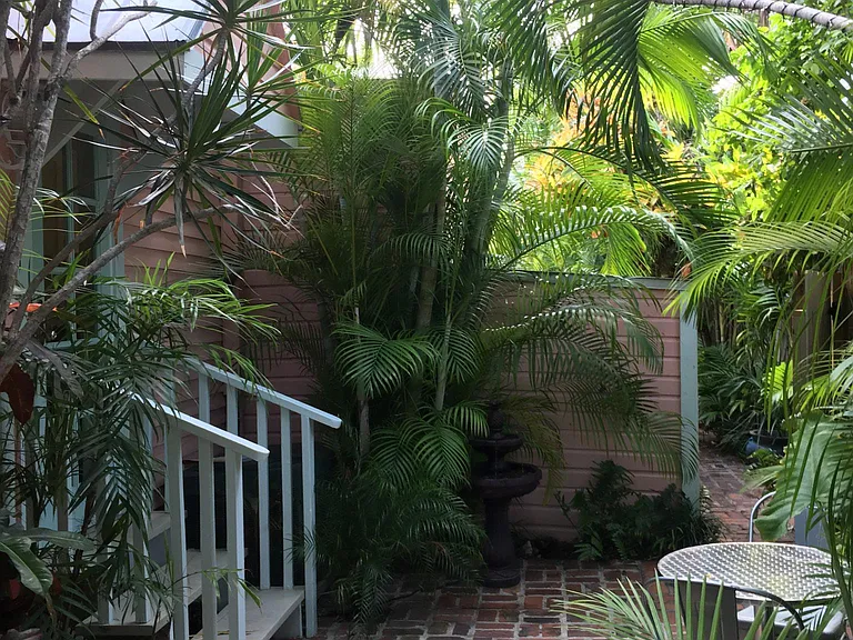 The front garden.