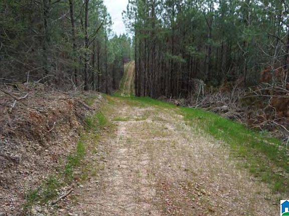 5th image of 0 Highway 5