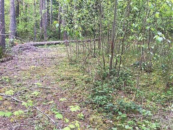 3rd image of 20 N Park Creek Pl