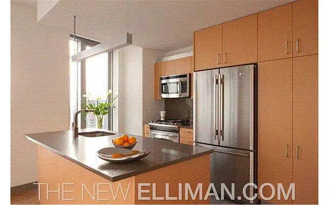 Rented by Douglas Elliman | media 4