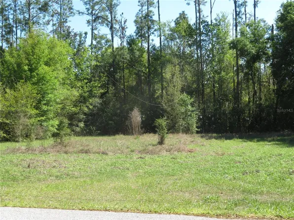 (undisclosed Address), San Antonio, FL 33576
