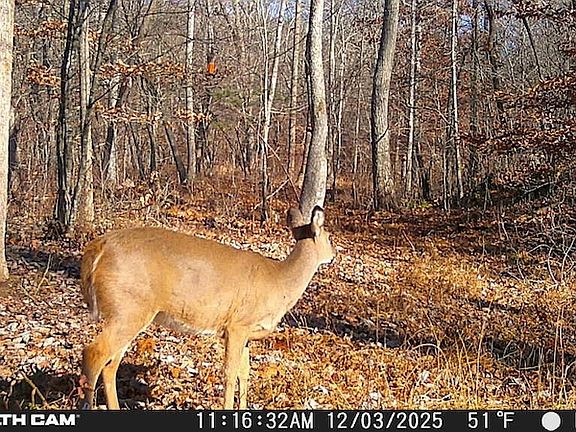 4th image of Webster Rd Lot Wp001