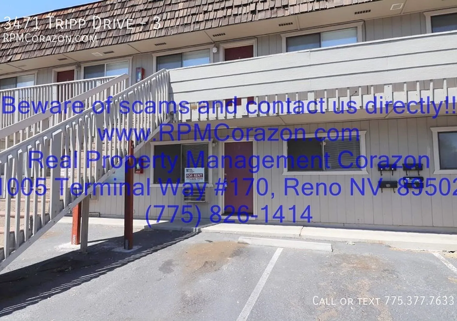Downstairs 1 Bedroom, 1 Bathroom in Reno close to UNR.... — Photo 1