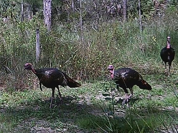 5th image of 19031/19051 Burgundy Farms Rd