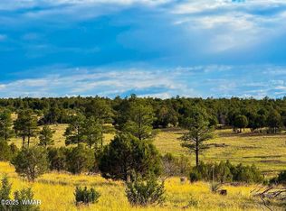 Flake Lots N, Overgaard, AZ 85933