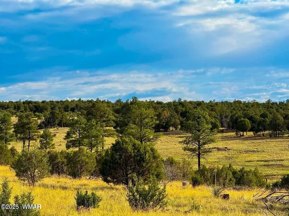 Flake Lots N, Overgaard, AZ 85933