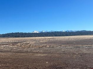 LOT 5 Road 32, Mancos, CO 81328