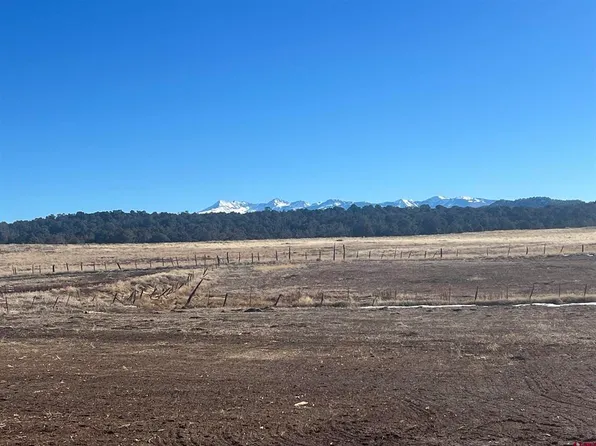 Lot 5 Road 32, Mancos, CO 81328