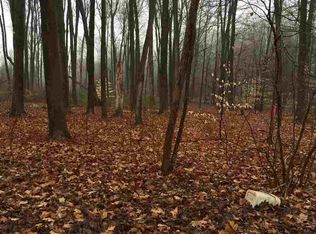 3760 Lewis Rd, Lewis, NY 12020