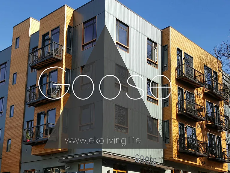 Goose Apartments — Photo 52