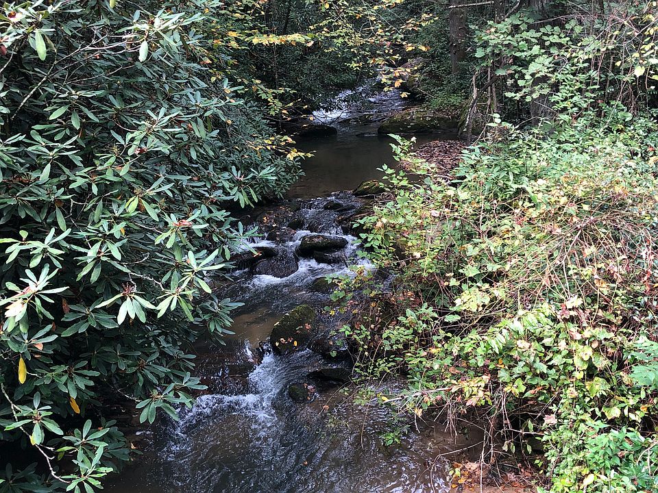 2nd image of 575 Rainbow Creek Rd #0