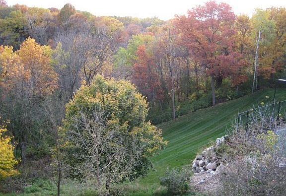 11181 Bluestem Fall 2007
