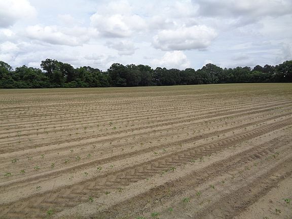 4th image of 0 Rock Bluff Rd
