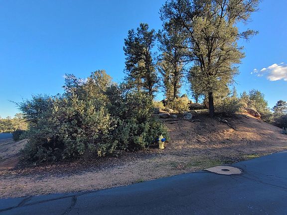 2nd image of 105 N Feather Plume Cir
