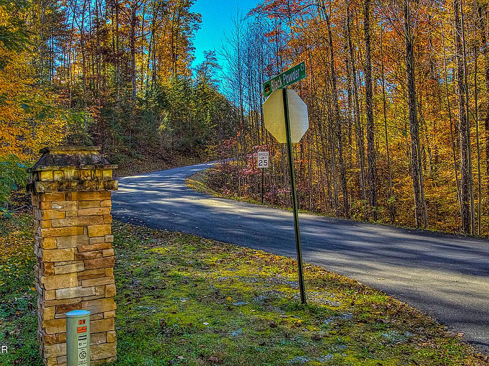 46th image of this home