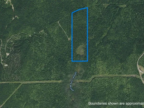 005-001-7 Nelson Road, Oakfield, ME 04763