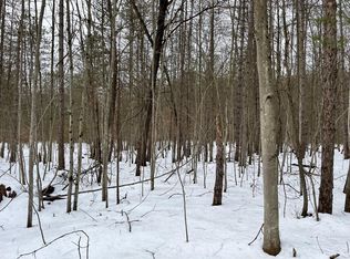 E Ruth Dr, Branch, MI 49402