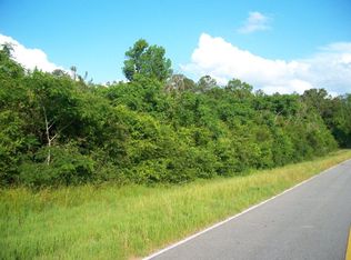 0 County Road 13, Dozier, AL 36028