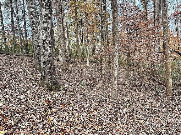 5th image of 667B Avery Rd