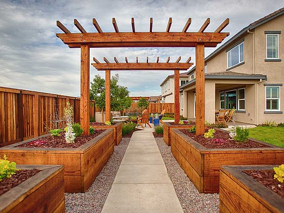 Homesite 300 - Backyard