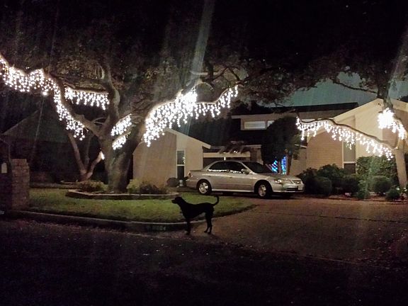 Fun Holiday  optons