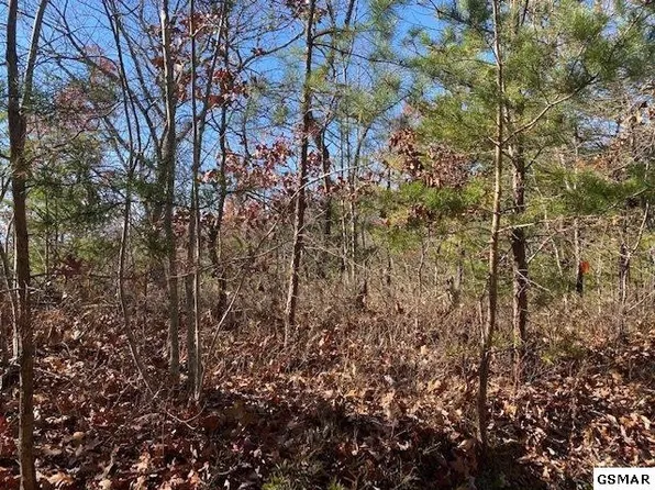 69 Poplar Pl Lot 69, Sevierville, TN 37876