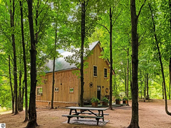 2216 W 16th Rd, Mesick, MI 49668