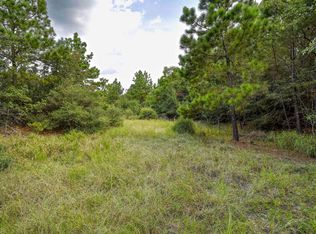 Kipahulu Dr #2, Bastrop, TX 78602