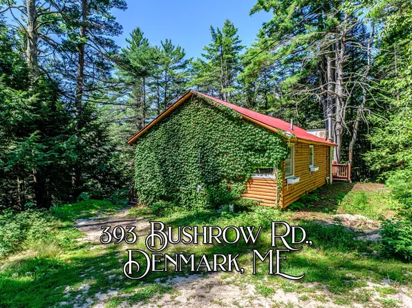 393 Bush Row Road, Denmark, ME 04022