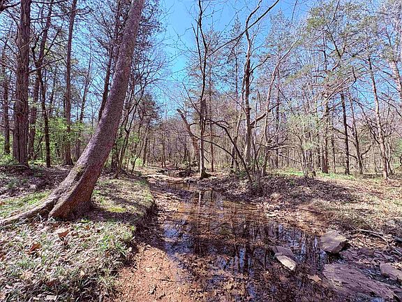 4th image of 161 Cherokee Rd