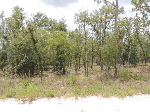 14670 SE 4th St #4, Williston, FL 32696