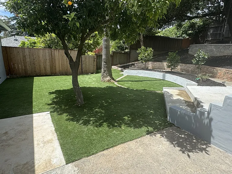Back Yard Off The Patio