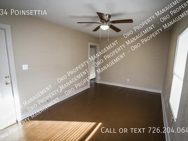 934 Poinsettia — Photo 12
