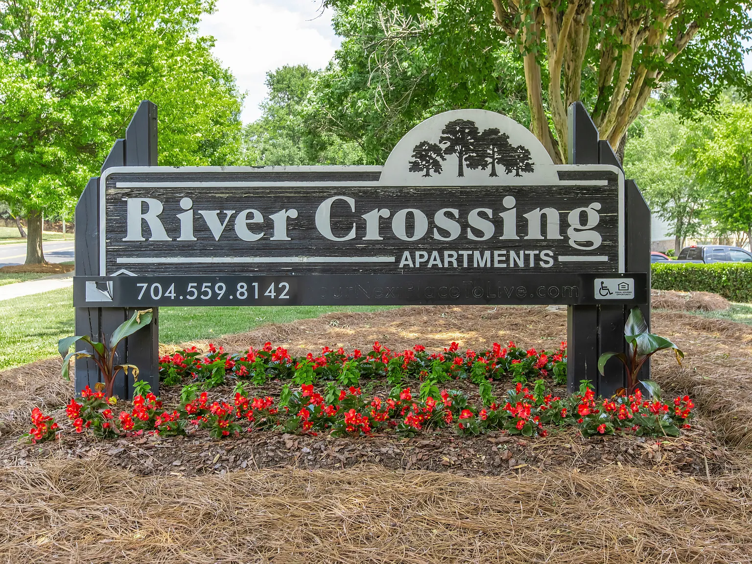 River Crossing — Photo 2