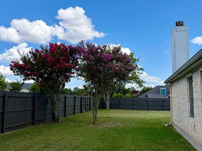 Side yard!