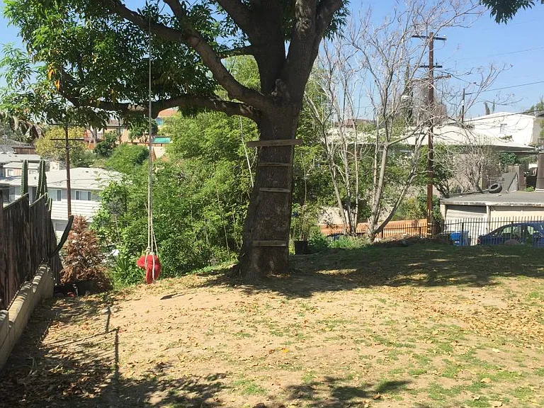 Shared yard
