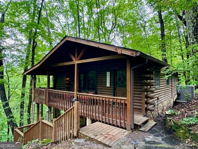 595 Ripshin Mountain Rd, Blue Ridge, GA, 30513