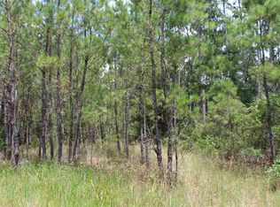 Vacant Sw Wabasso Ter, Greenville, FL 32331