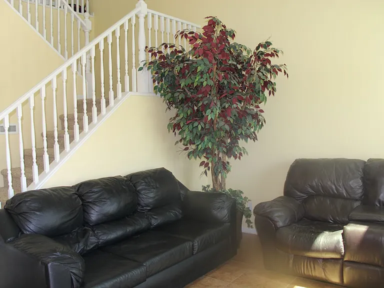2048 W Monte Cristo Ave — Photo 2