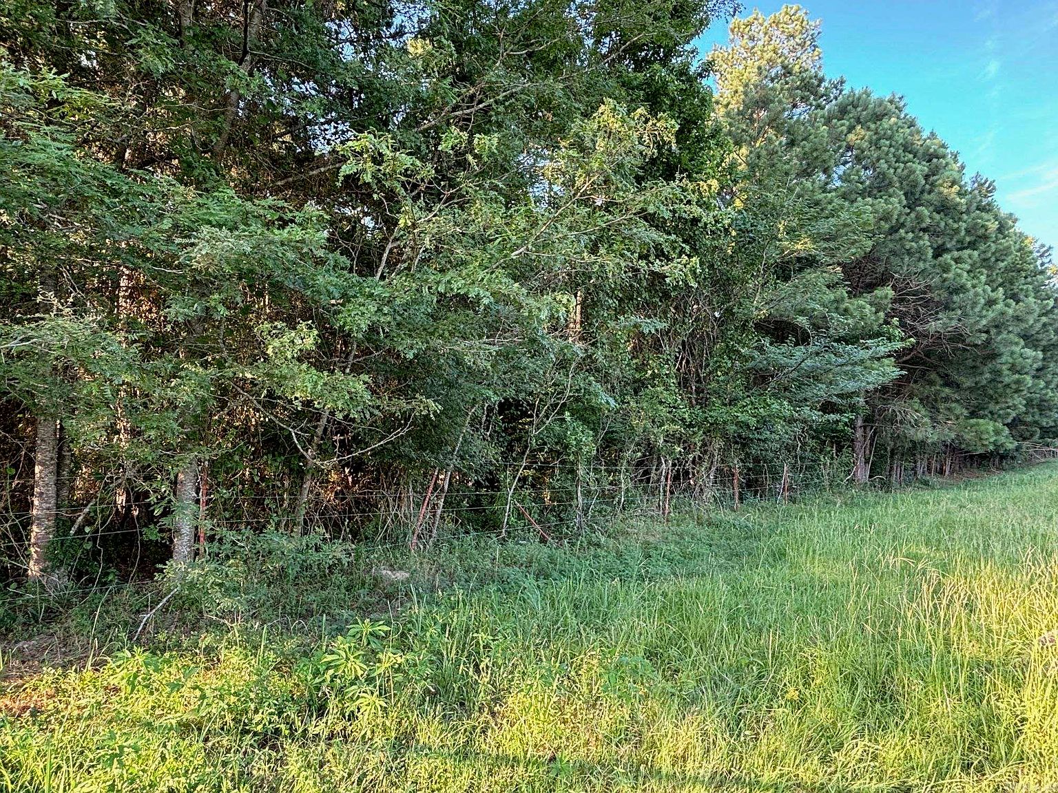 0 Grant 42 M&B, Prattsville, AR 72129 MLS 24022428 Zillow