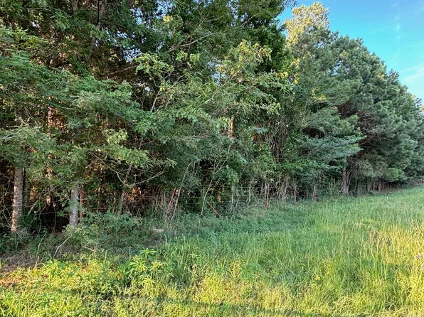 0 Grant #42, Prattsville, AR 72129