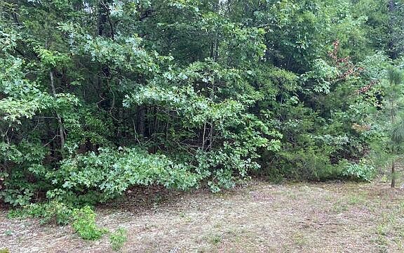 2nd image of 0 Coe St Lot 15