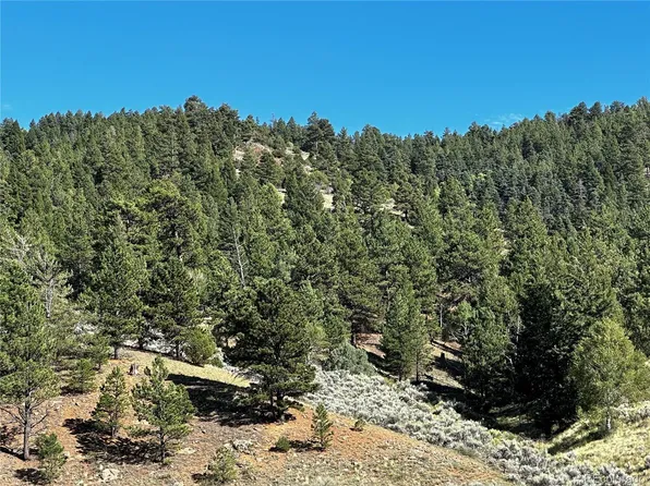 140 Hwy 160 LOT 140, Fort Garland, CO 81133