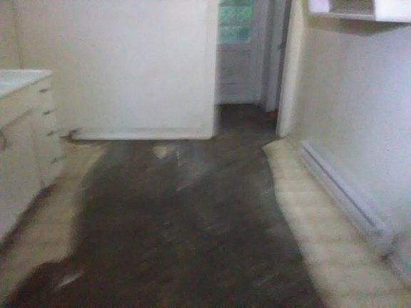 5th image of 706 Bank St