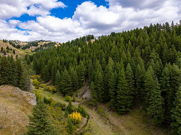 5th image of Nhn Highwood Creek Rd