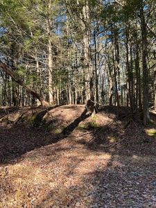 198 W Starlight Drive, Smallwood, NY, 12778