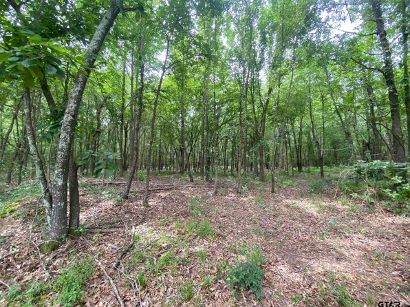 10 & 11 County Road 3920, Mount Pleasant, TX 75455