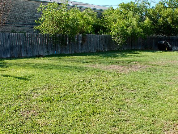 Part of the Back Yard