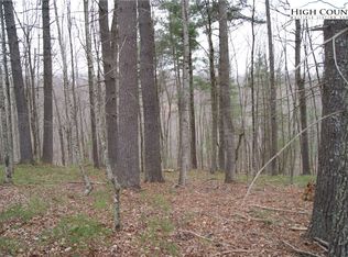 Lot 74 Forest Hill Drive, Sparta, NC 28675