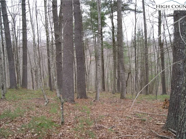 Lot 74 Forest Hill Drive, Sparta, NC 28675